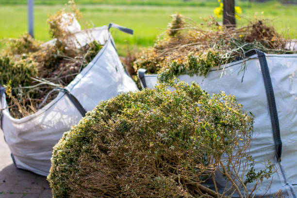 Best Same-Day Junk Removal  in Old Jefferson, LA